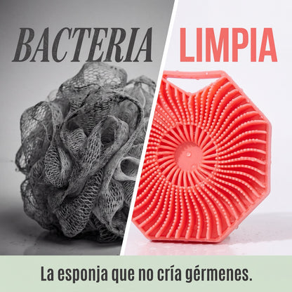 Kit de Baño 3 en 1 | 2X1 ESPONJA EXFOLIANTE + REGALO MASAJEADOR CAPILAR